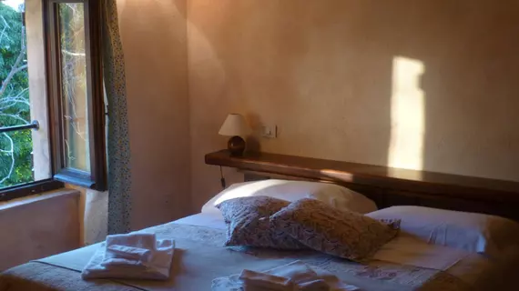 Agriturismo Basaletto | Umbria - Perugia (vilayet) - Assisi