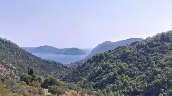 Skopelos Country Villas | Tesalya - Skopelos