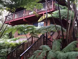 The Guest Cottages at Volcano Tree House | Hawaii - Hawaii Adası - Volcano