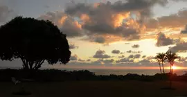 Lookout at Playa Tortuga | San Jose (ili) - Dominical (ve civarı) - Ciudad Cortes