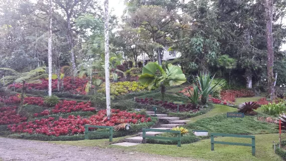 Las Cruces Biological Station | Puntarenas (ili) - San Vito