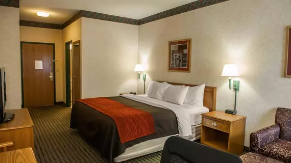 Baymont Inn and Suites Franklin | Indiana - Indianapolis (ve civarı) - Franklin