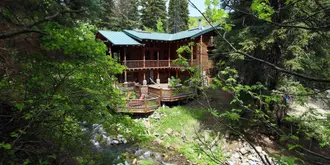 Log Cabin on the Stream