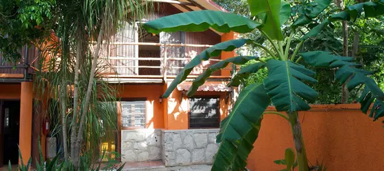 Casa Kiwi | Quintana Roo - Solidaridad - Playa del Carmen - Centro