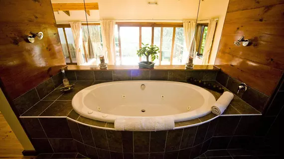 Elephant Hide of Knysna Guest Lodge | Western Cape (il) - Knysna