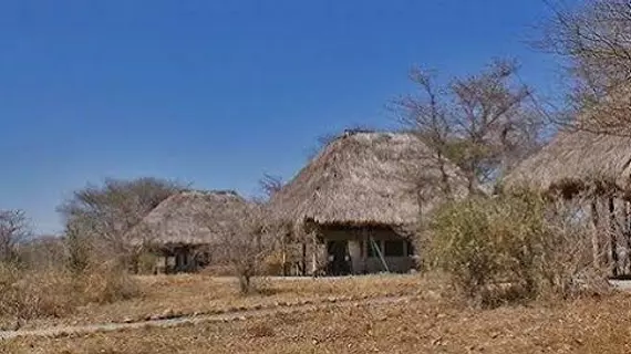 Whistling Thorn Camp | Manyara Bölgesi - Tarangire Ulusal Parkı