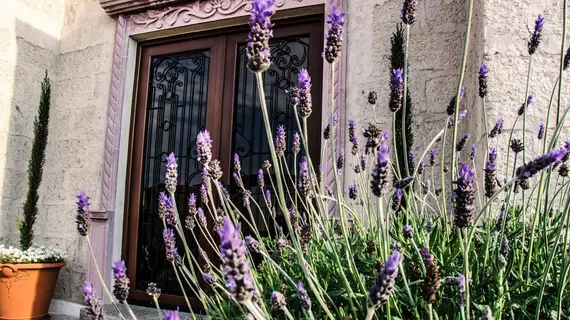 Villa Isabella | Guanajuato - San Miguel de Allende