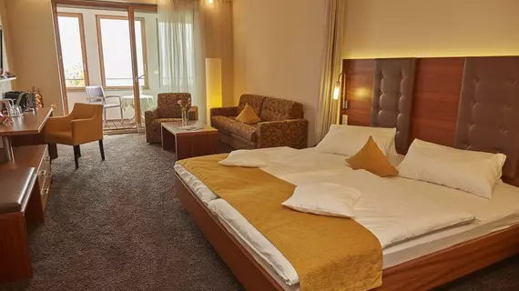 Flair Hotel zum Schiff | Baden-Wuerttemberg - Bodenseekreis - Meersburg