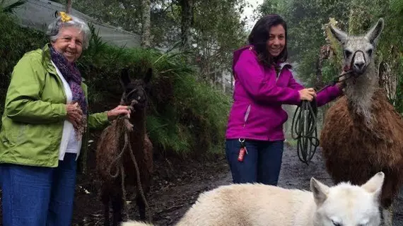 Las Orquídeas | Tungurahua - Banos