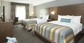 Wingate by Wyndham Calgary Airport | Alberta - Calgary (ve civarı) - Calgary