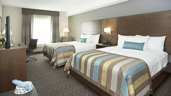 Wingate by Wyndham Calgary Airport | Alberta - Calgary (ve civarı) - Calgary