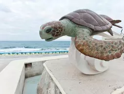 Hotel Rocamar | Quintana Roo - Benito Juárez - Cancun (ve civarı) - Isla Mujeres