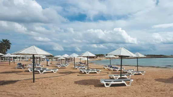 Dome Beach Hotel Resort | Larnaka Bölgesi - Ayia Napa