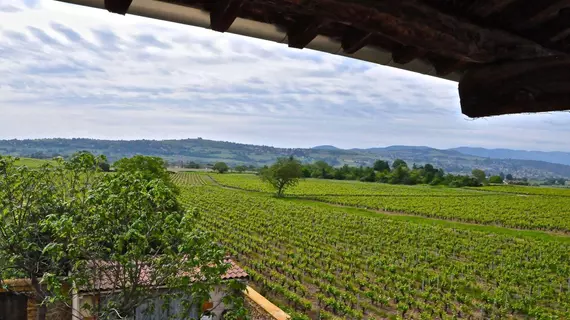 Le Clos du Cher en Beaujolais | Auvergne-Rhone-Alpes - Rhone (bölge) - Saint-Germain-Nuelles