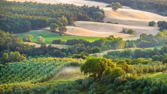 Locanda di CasalMustia | Toskana - Siena (vilayet) - Trequanda