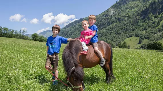 Feriendorf Ponyhof | Salzburg (eyalet) - Zell am See - Fusch an der Grossglocknerstrasse