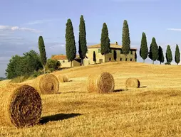 La Collina Delle Streghe | Marche - Ancona (vilayet) - Castelbellino