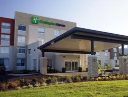 Holiday Inn Express Chesapeake Norfolk