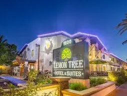 The Lemon Tree Hotel | Kaliforniya - Orange County - Anaheim