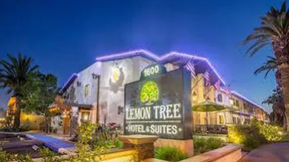 The Lemon Tree Hotel | Kaliforniya - Orange County - Anaheim