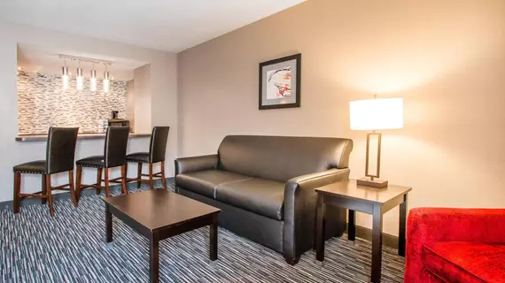 Clarion Inn and Suites Springfield | Missouri - Springfield (ve civarı) - Springfield