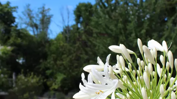 Chambres d'Hôtes du Jardin | Nouvelle-Aquitaine - Charente-Maritime (bölge) - Montendre