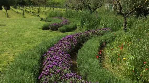 Agriturismo La Valle | Liguria - La Spezia (il) - Castelnuovo Magra