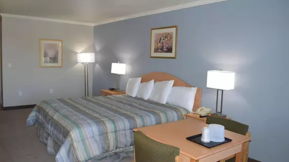 Budget Inn | Kaliforniya - San Luis Obispo (ve civarı) - Paso Robles