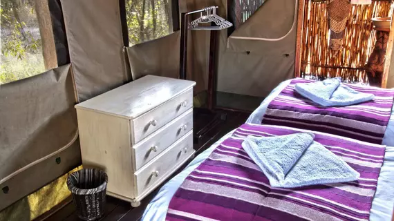 Shindzela Tented Safari Camp | Limpopo - Maruleng - Hoedspruit