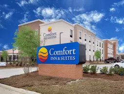 Comfort Inn and Suites Zachary | Louisiana - Baton Rouge (ve civarı) - Zachary