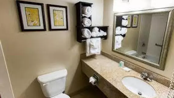 Comfort Suites | Michigan - Detroit (ve civarı) - Southfield