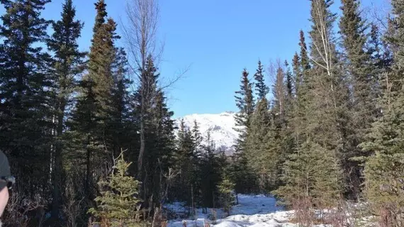 Moose Wallow Cabins | Alaska - Anchorage (ve civarı) - Palmer