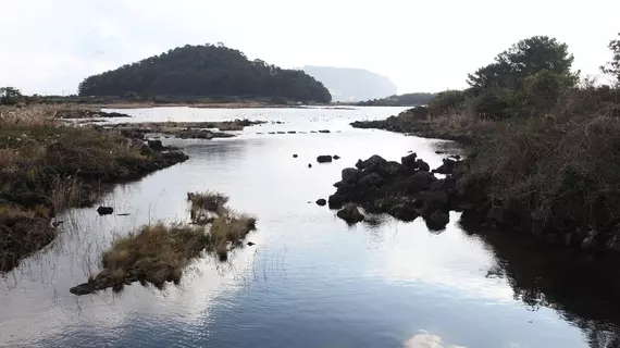 Maison de Ojolac | Jeju Adası - Seogwipo - Seongsan