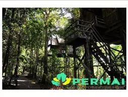 Permai Rainforest Resort | Sarawak - Kuching (ve civarı) - Kuching