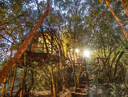 Teniqua Treetops | Western Cape (il) - Knysna