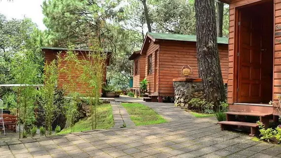 Cabañas Monte Alto | Mexico, Estado de - Toluca (ve civarı) - Valle de Bravo