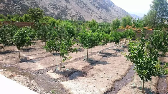 La Confianza Hotel | Lima (bölge) - Cañete Province - Pacaran