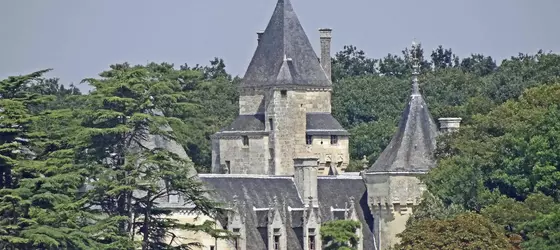 Demeure Château de Ternay | Nouvelle-Aquitaine - Vienne (bölge) - Ternay