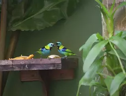 Refúgio Tropical Flats | Rio de Janeiro (eyaleti) - Paraty