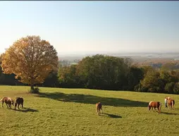 Gîte des 3 Hiboux | Bourgogne-Franche-Comte - Doubs (bölge) - Mondon