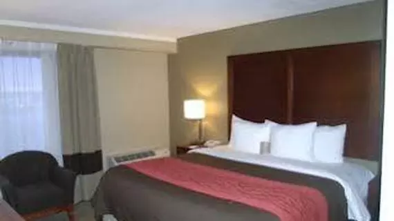 Comfort Inn Central | Kolorado - Denver (ve civarı) - Denver