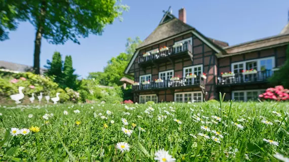 Hotel Landhaus Höpen | Aşağı Saksonya - Schneverdingen