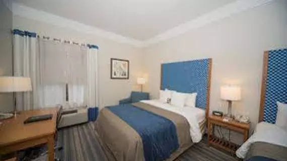 Comfort Inn & Suites Savannah Airport | Georgia - Savannah (ve civarı) - Savana