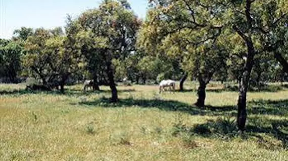 Hotel Sao Lourenco | Centro - Santarem Bölgesi - Benavente - Porto Alto