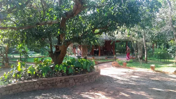 Kuwera Eco Lodge | Merkez Vilayet - Matale Bölgesi - Sigiriya