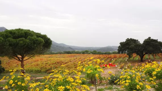 Casa Palmela | Alentejo - Setubal (bölge) - Setubal