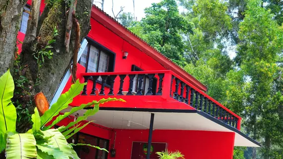 De Chempedak Guest House | Pahang - Kuantan (ve civarı) - Kuantan - Teluk Cempedak