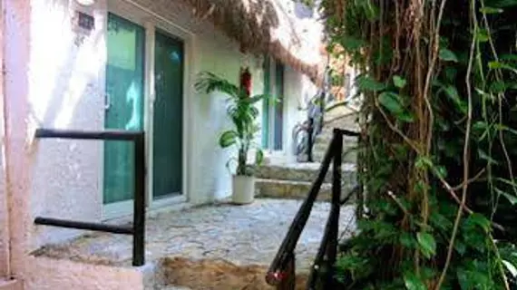 Club Yebo Hotel | Quintana Roo - Solidaridad - Playa del Carmen