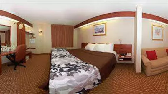 Sleep Inn and Suites Grand Rapids | Michigan - Grand Rapids (ve civarı) - Grand Rapids