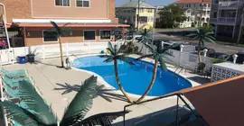 Dolphin Inn | New Jersey - Middle Township - Cape May - Wildwood (ve civarı) - Wildwood